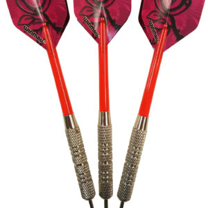 Roleo Steeldartpfeile R-4 17g