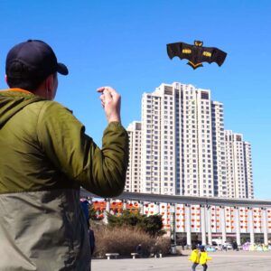 Bdt verstärkter 7m Drachenstab + Drachen *Fledermaus* inkl. 30m Leine, 190x85cm