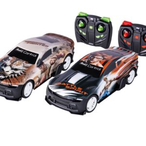 RC 2,4GHz Cars Crash Fighter