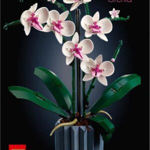 Creator ICONS Orchidee